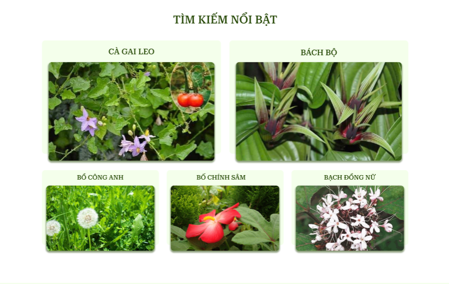 PlantMed